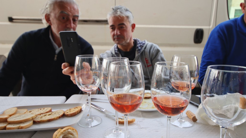 08_03_2026_puchi_008