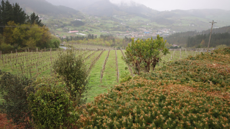 2026_04_garena_gal_009