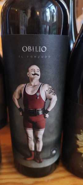 WhatsApp-Image-2026-04-17-at-20.20.28