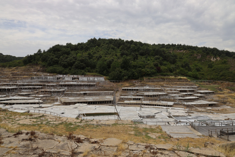 2026_06_salina_anana_001