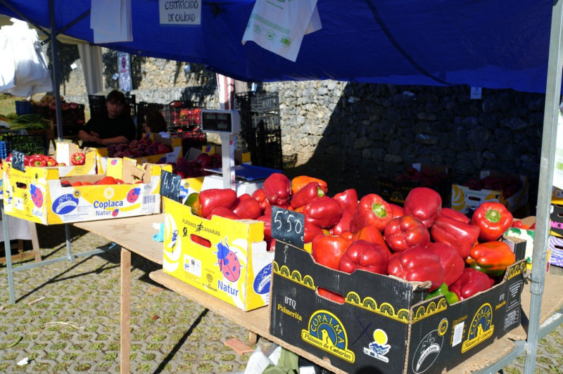 09_2026_ferisla_2026_015