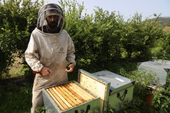 2023_08_abeja_negra_006
