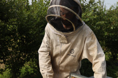 2023_08_abeja_negra_019