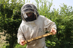 2023_08_abeja_negra_024
