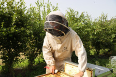 2023_08_abeja_negra_039