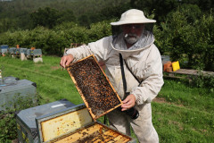 2023_08_abeja_negra_045