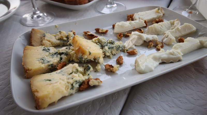 08_03_2026_puchi_002