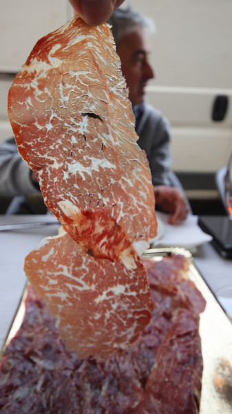 08_03_2026_puchi_003