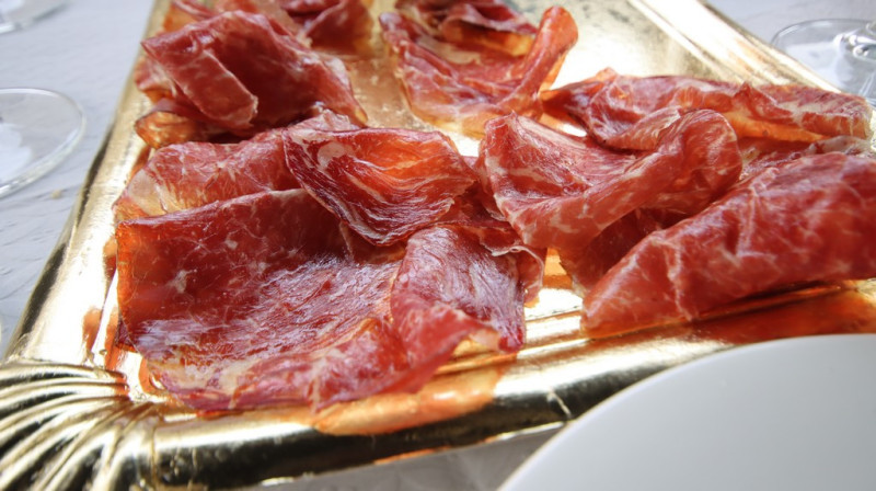 08_03_2026_puchi_004