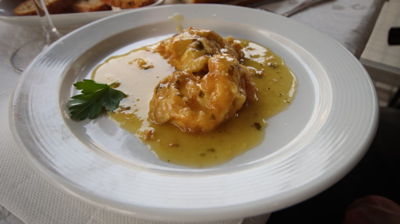 08_03_2026_puchi_006