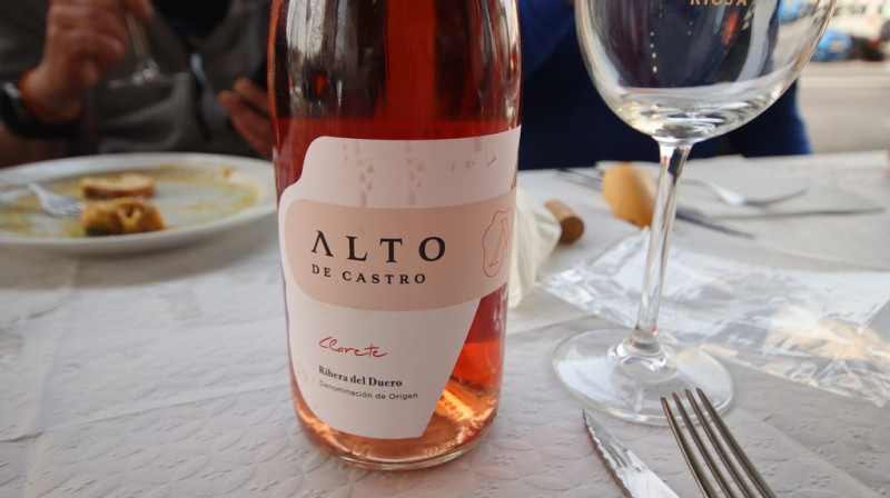 08_03_2026_puchi_007