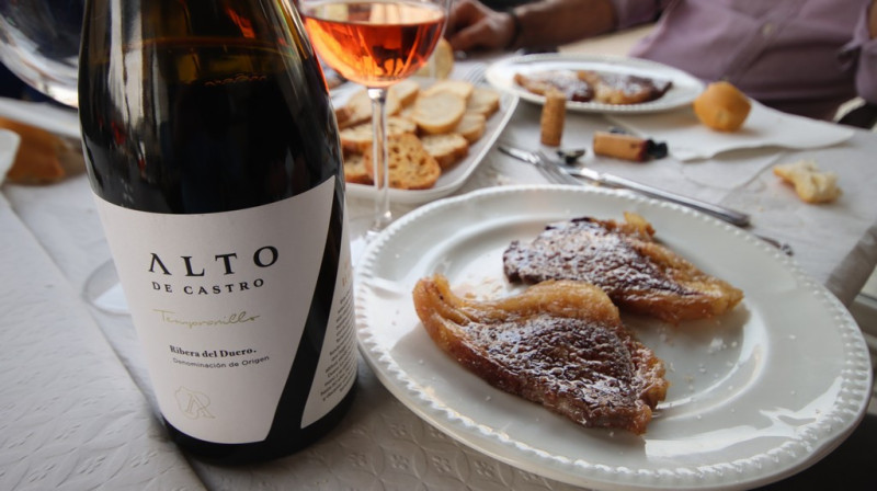 08_03_2026_puchi_010