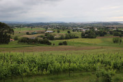 2024_06_bahia_sancarr_024