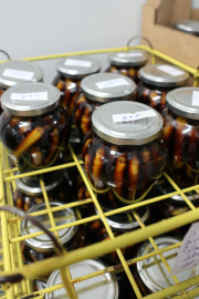 2019_05_esanosvinagre_021