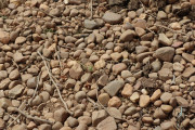 2019_08_castelo_medina_019_mulecarajonero