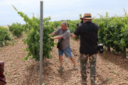 2019_08_castelo_medina_021_mulecarajonero