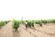 2019_08_castelo_medina_030_mulecarajonero