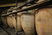 2014_11_bodegas_corral_007