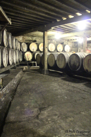 2014_11_bodegas_corral_009