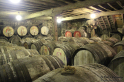 2014_11_bodegas_corral_011