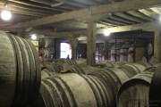 2014_11_bodegas_corral_030