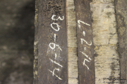 2014_11_bodegas_corral_059