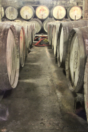 2014_11_bodegas_corral_061