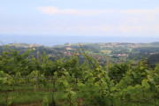 2018_07_miradorio_008
