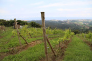 2018_07_miradorio_012