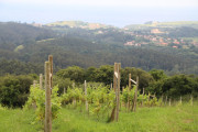 2018_07_miradorio_018