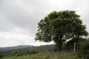 2018_07_miradorio_025