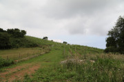 2018_07_miradorio_035
