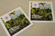 2018_07_miradorio_053
