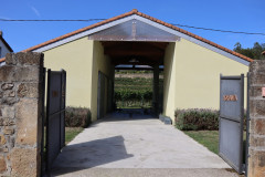 hortanza_slide_001