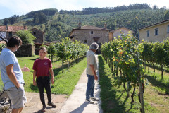 hortanza_slide_018