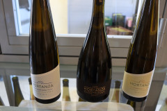 hortanza_slide_025