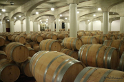 09_2015_ramirez_piscina_crianza_004