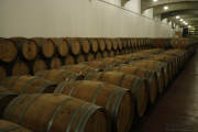 09_2015_ramirez_piscina_crianza_007