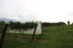 isla_vid_012