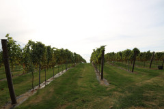 isla_vid_013