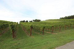 isla_vid_024