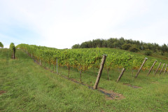 isla_vid_025