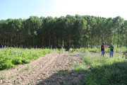 2018_09_camesia_carrusel_027