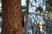 2019_02_soria_ciudad_018