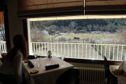 2019_02_soria_lobita_013