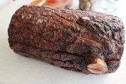 2019_02_soria_lobita_051