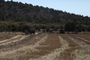 2019_02_soria_perro_002