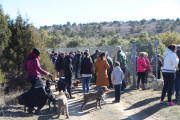 2019_02_soria_perro_004