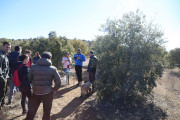 2019_02_soria_perro_006
