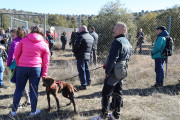 2019_02_soria_perro_013
